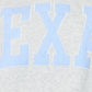 Women's Texas Embroidered Mock Neck Sweatshirt | Collegiate Pullover | The Gussied Goose Boutique